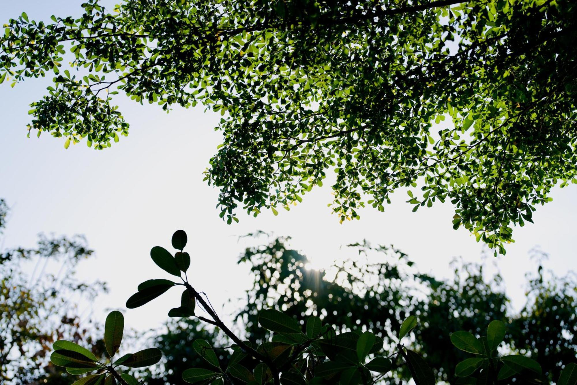Elysium Suite Siem Reap Exterior foto